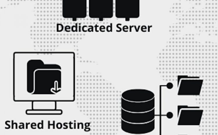 what is web hosting